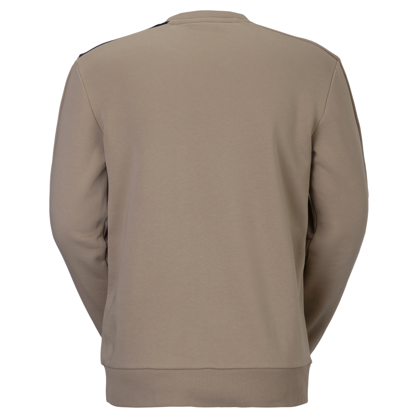 SCO Crewneck M's
