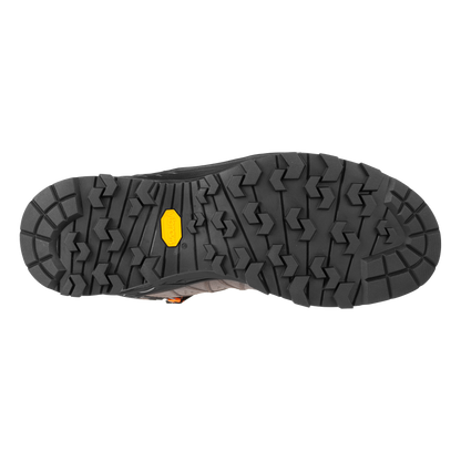 ALP TRAINER 2 MID GTX M