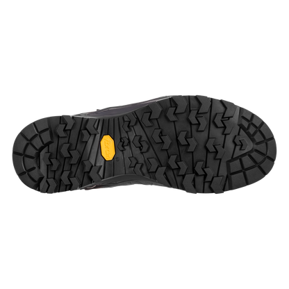 ALP TRAINER 2 MID GTX W