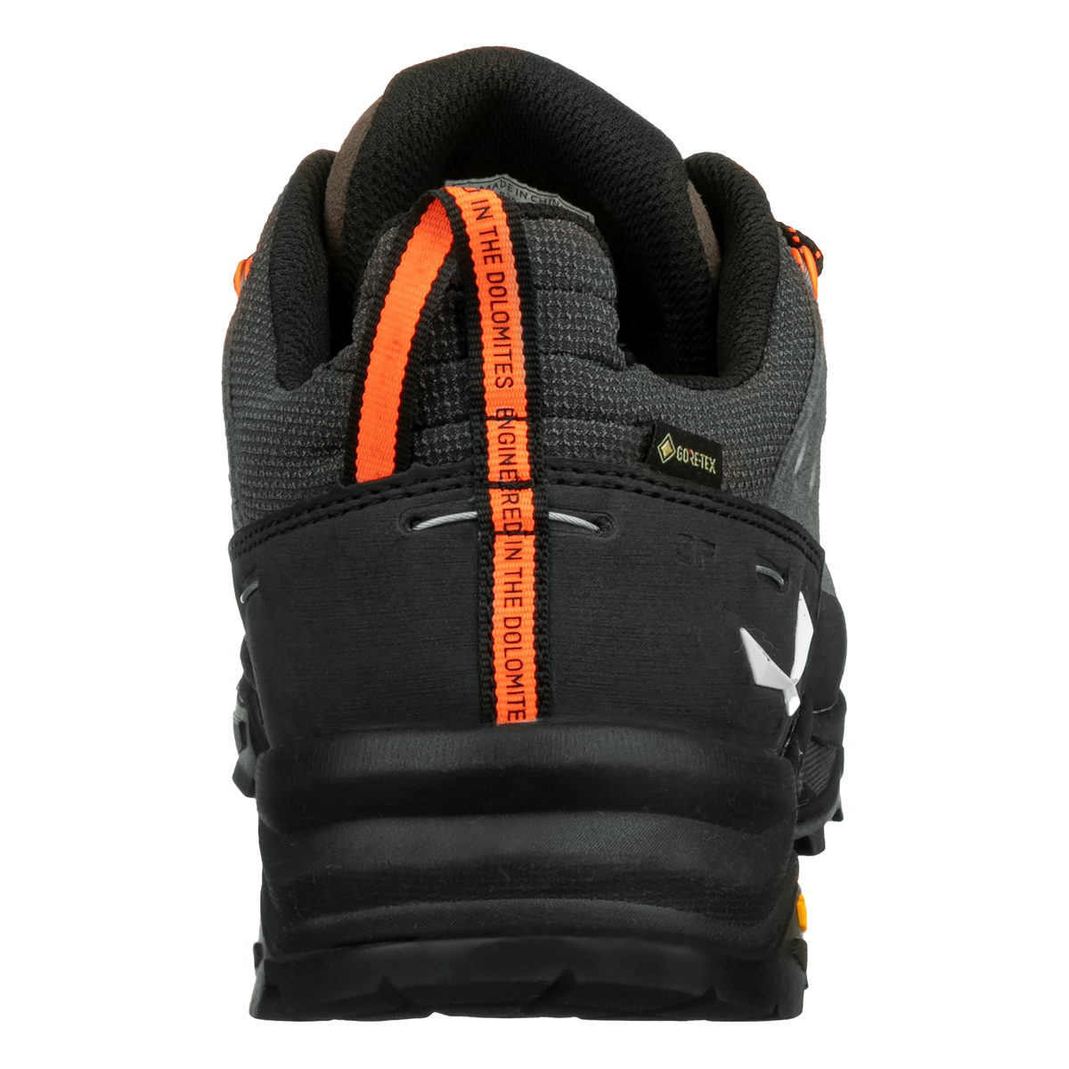 Alp Trainer 2 GTX M
