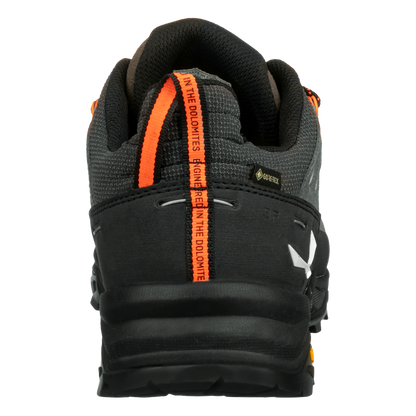 Alp Trainer 2 GTX M