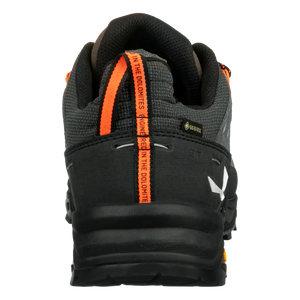 Alp Trainer 2 GTX M