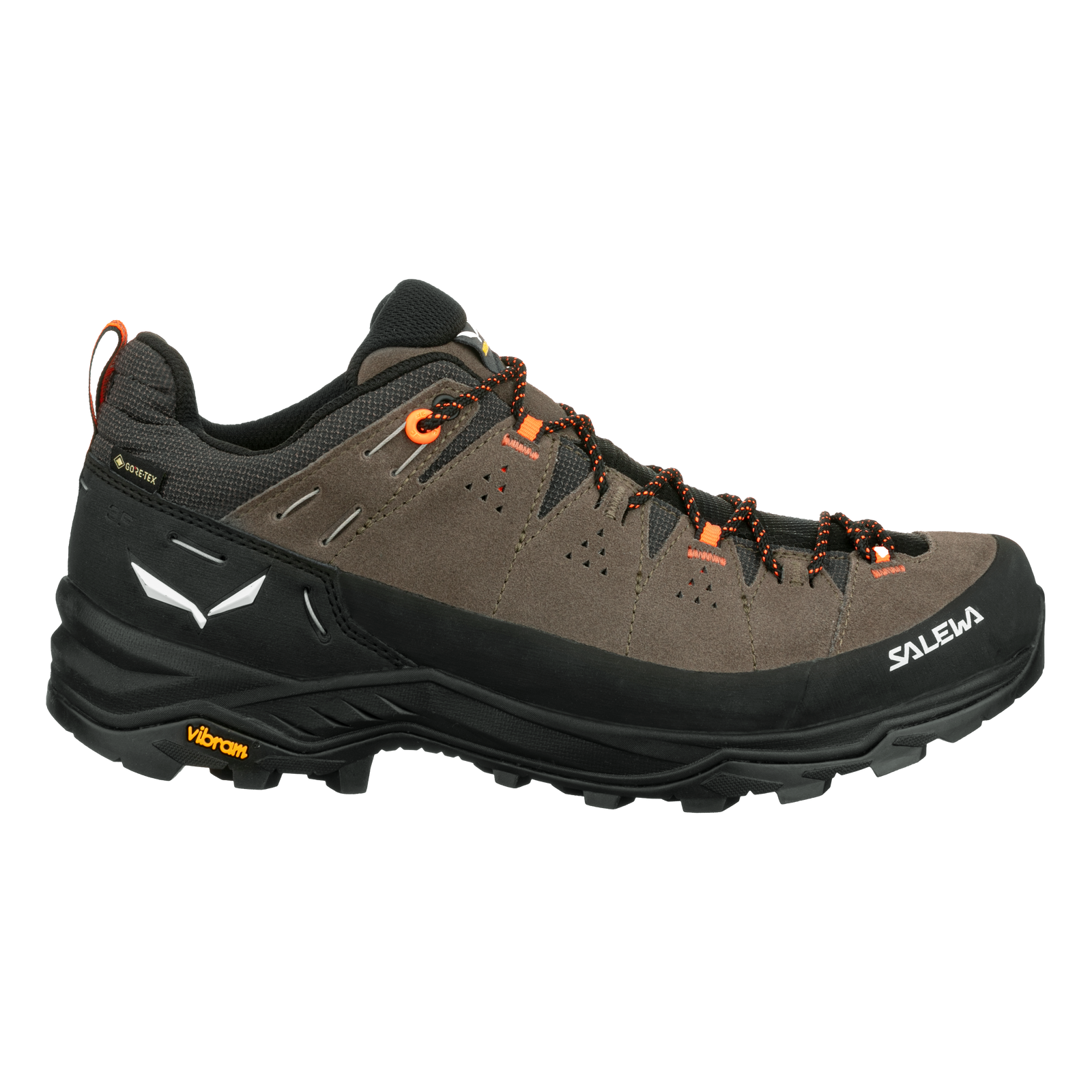 Alp Trainer 2 GTX M