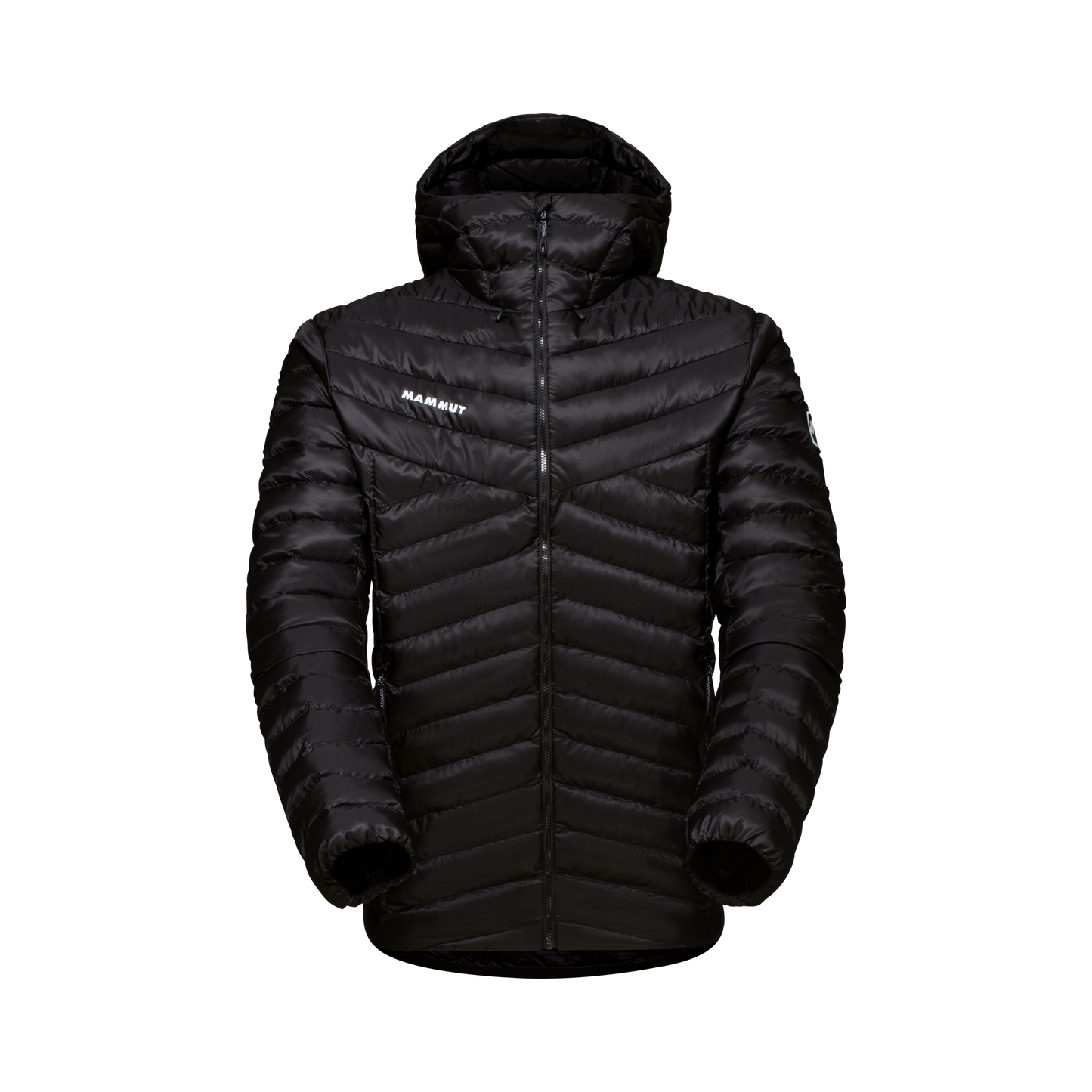 Albula IN Hooded Jacket Men