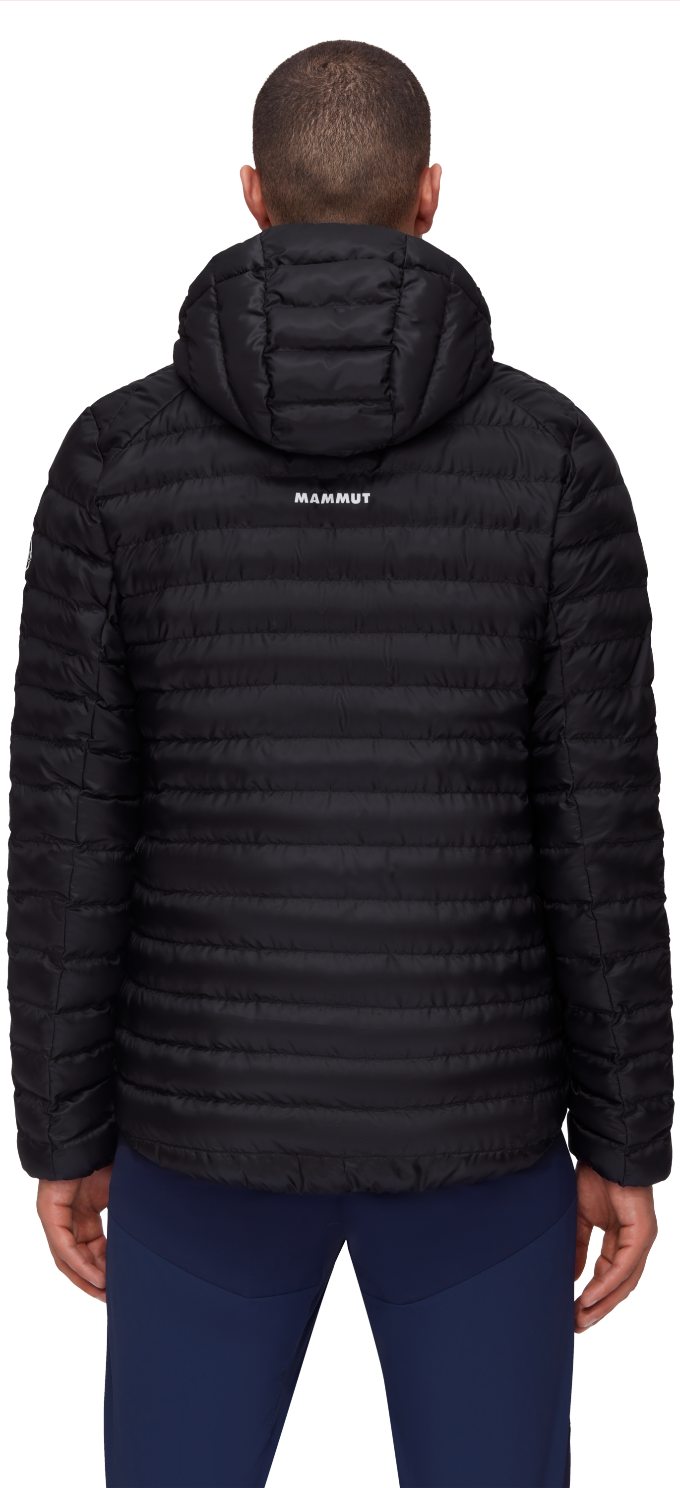 Albula IN Hooded Jacket Men
