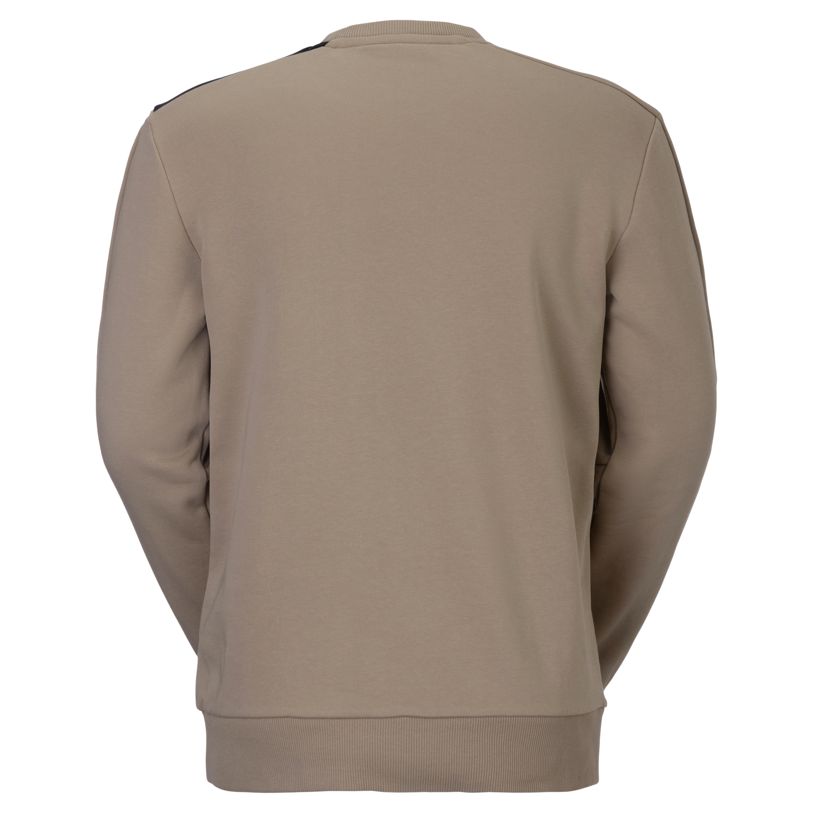 SCO Crewneck M's
