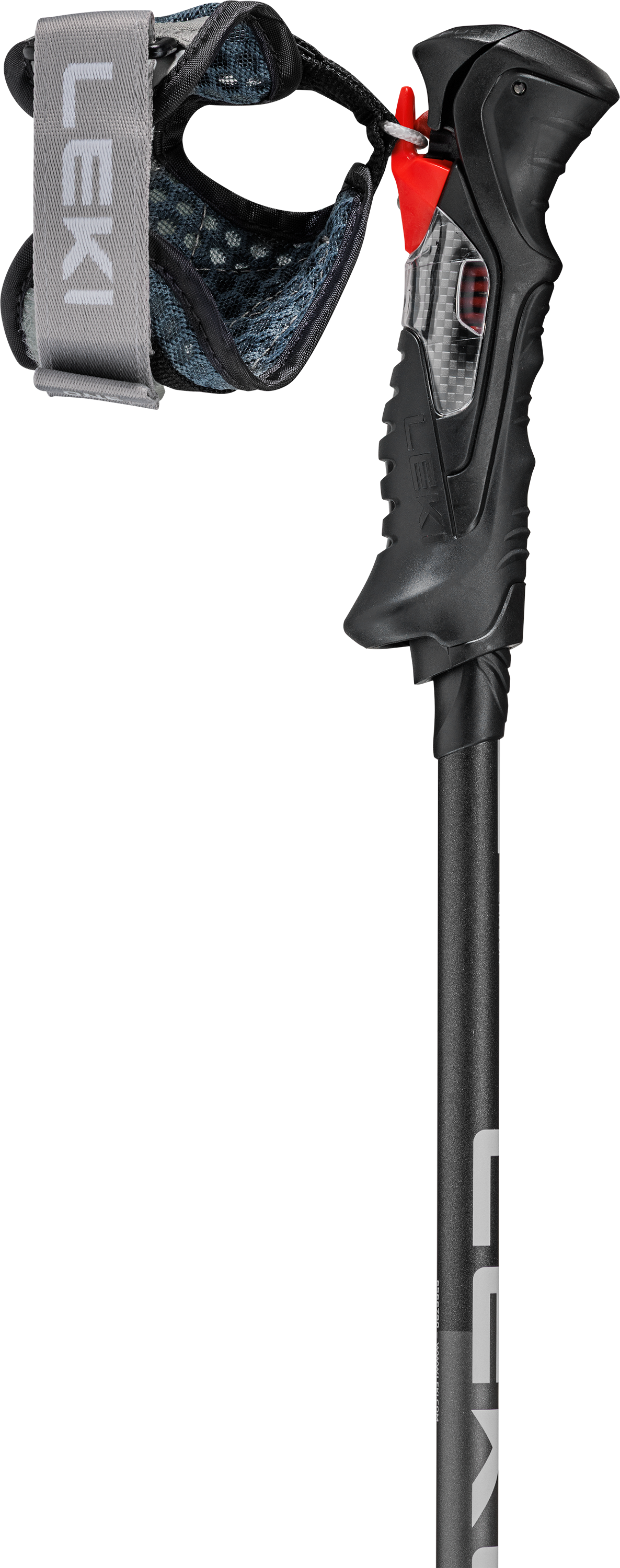 Carbon 14 TR