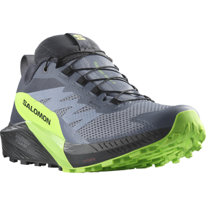 SHOES SENSE RIDE 5 GTX Flint/B