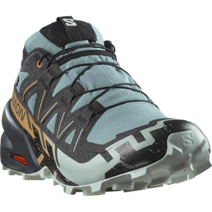 SHOES SPEEDCROSS 6 GTX Troope/Black/Wood