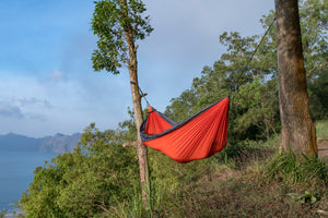 Original Hammock