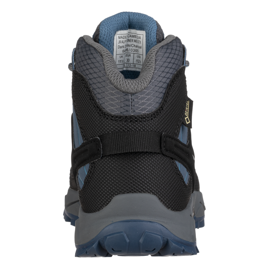 JR Alp Trainer Mid GTX