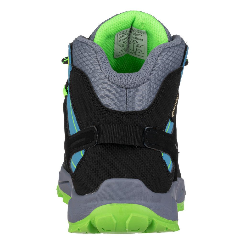 JR Alp Trainer Mid GTX